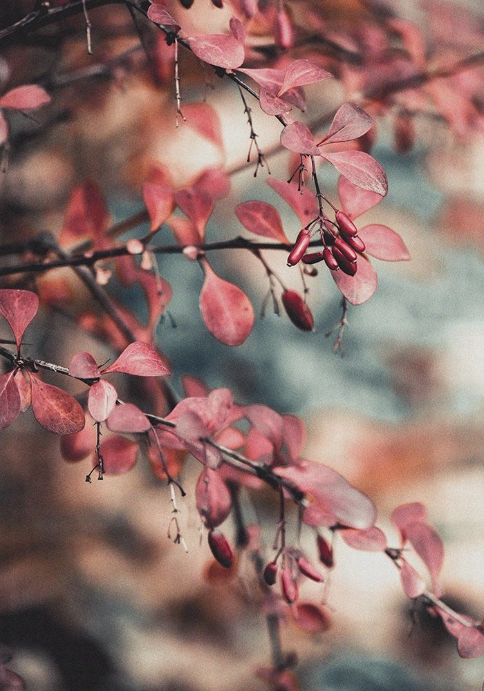 Fall I art print by PhotoINC Studio for $57.95 CAD