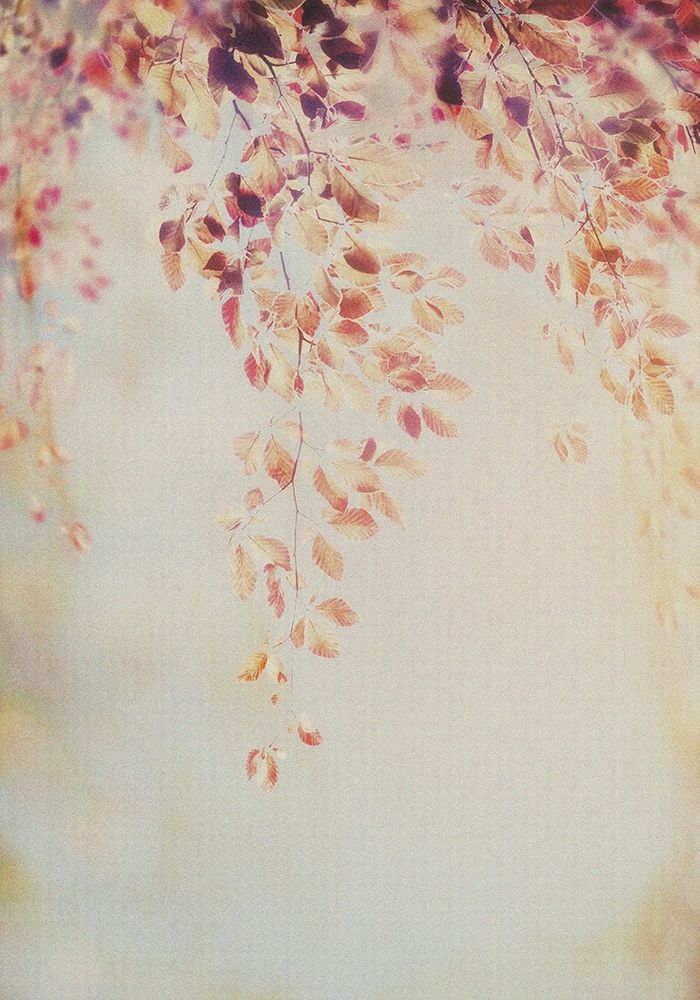 Fall II art print by PhotoINC Studio for $57.95 CAD