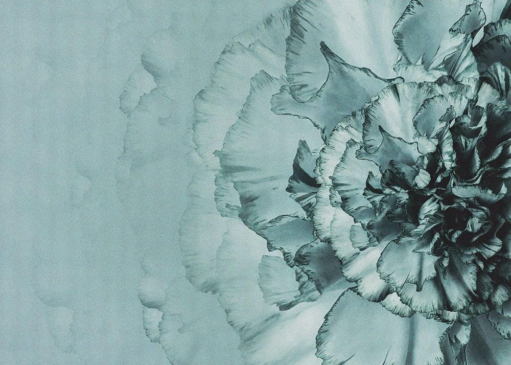Close up Flower art print by Incado for $57.95 CAD