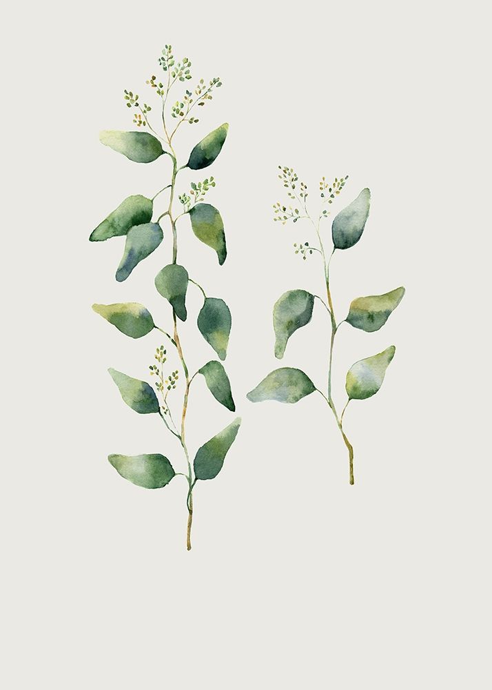 Botanical I art print by Incado for $57.95 CAD