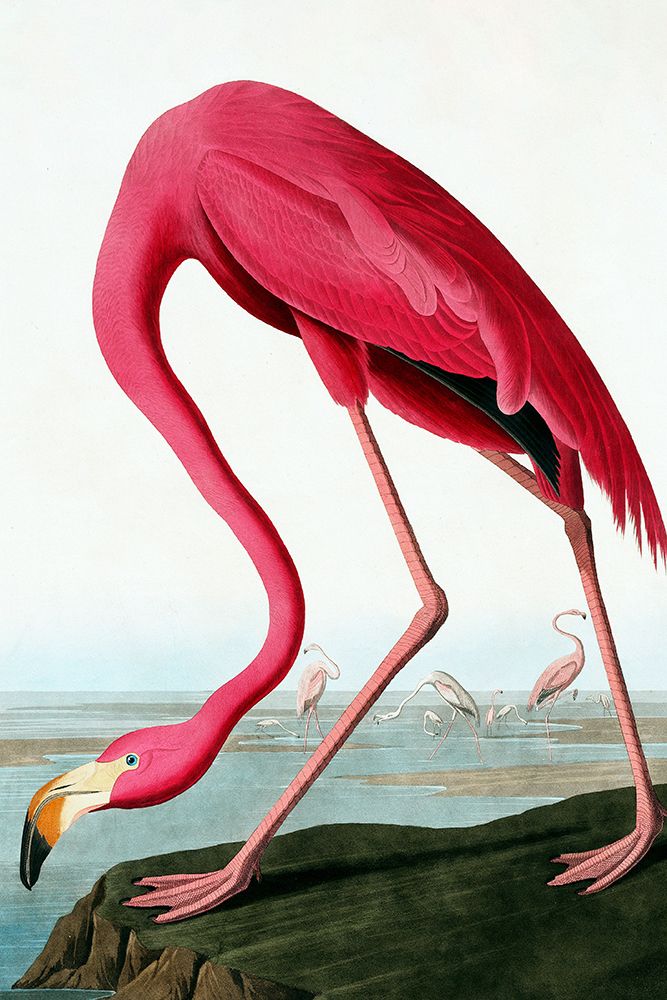 Flamingo art print by Incado for $57.95 CAD