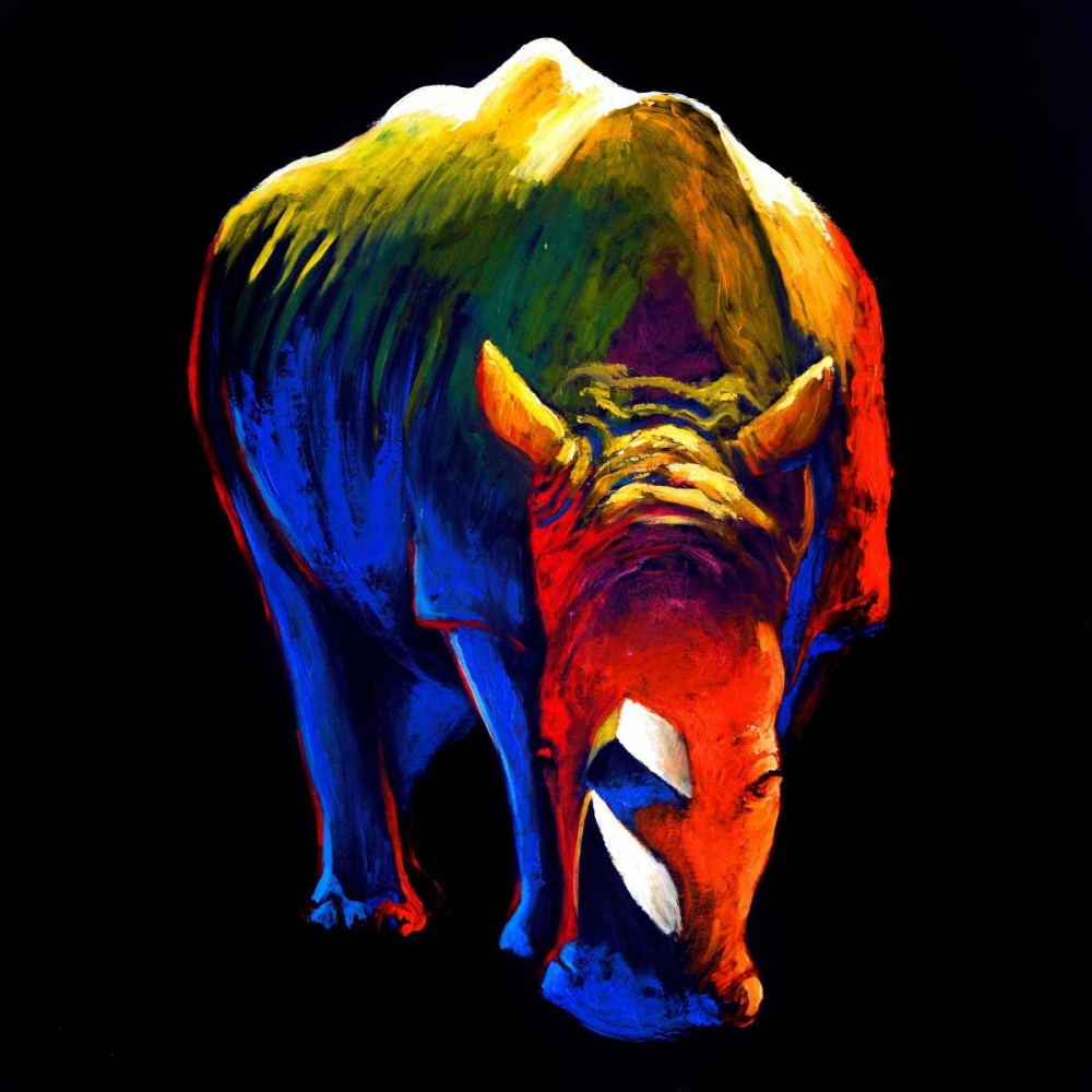 The Rhino art print by Clara Summer for $57.95 CAD