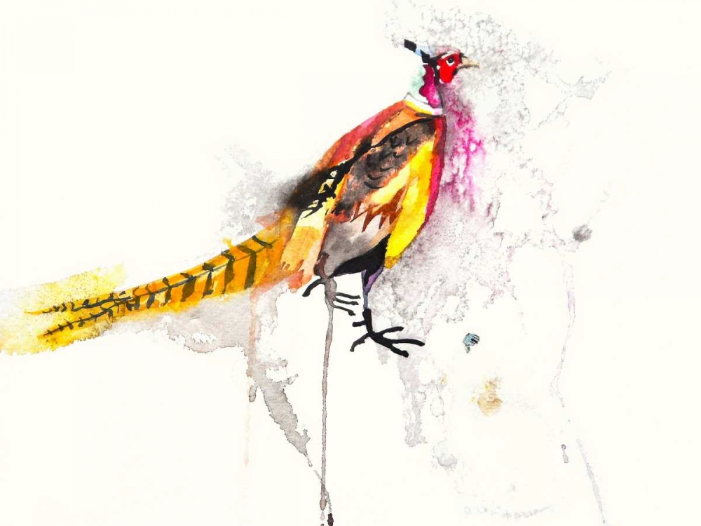 Pheasant art print by Karin Johannesson for $57.95 CAD