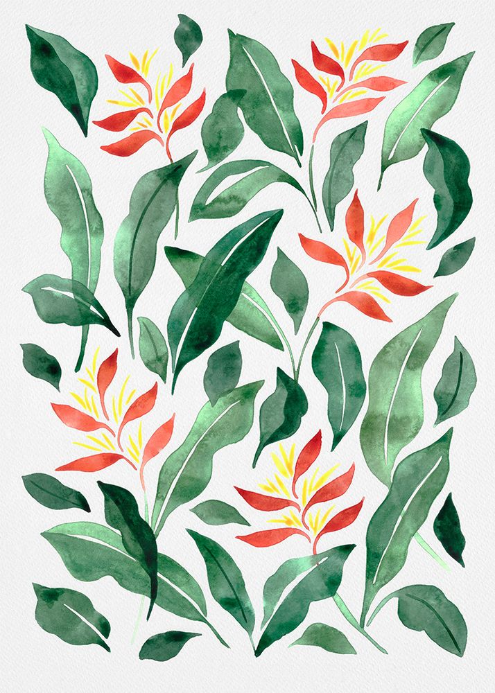 Parakeet Flower art print by Cami Juncos for $57.95 CAD