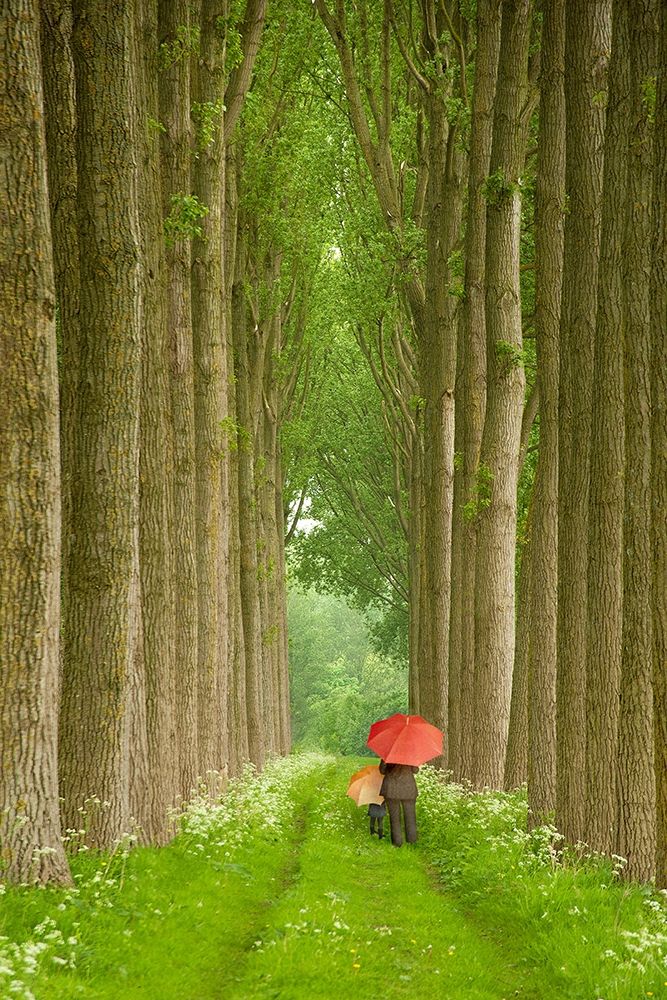 Two Umbrellas, Belgium art print by Alan Klug for $57.95 CAD