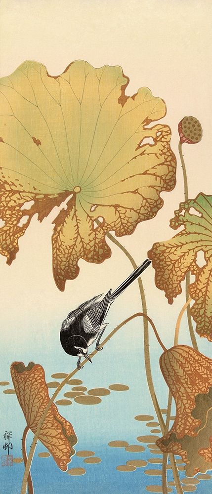 Japanese Wagtail on Lotus Plant, 1925-1936 art print by Ohara Koson for $57.95 CAD