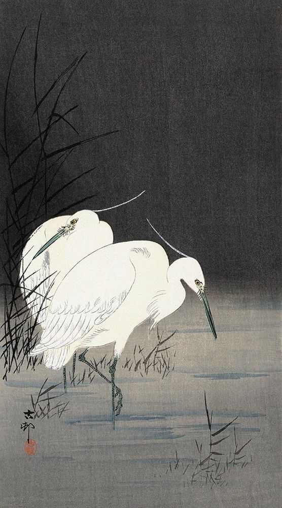 Two Egrets in the Reeds, 1900-1930 art print by Ohara Koson for $57.95 CAD