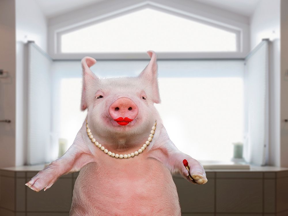 Lipstick On A Pig art print by Lund Roeser for $57.95 CAD