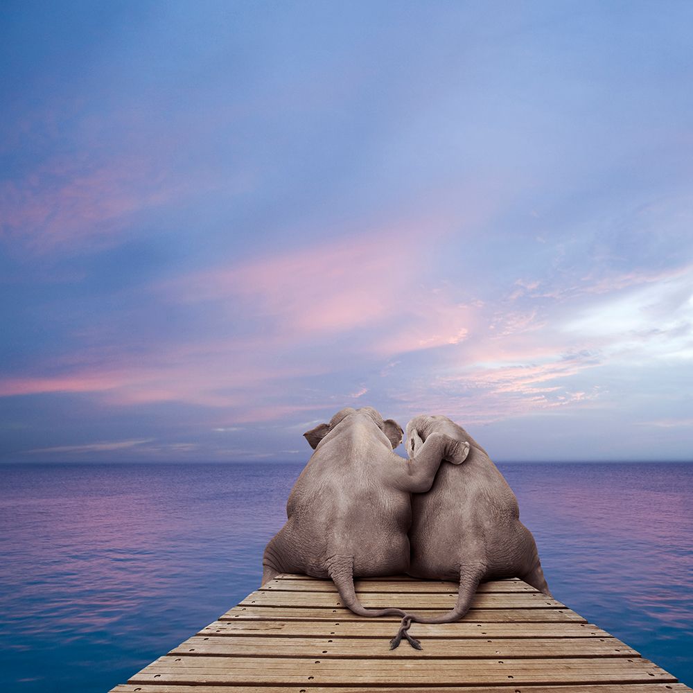 Pachyderm Pier art print by Lund Roeser for $57.95 CAD
