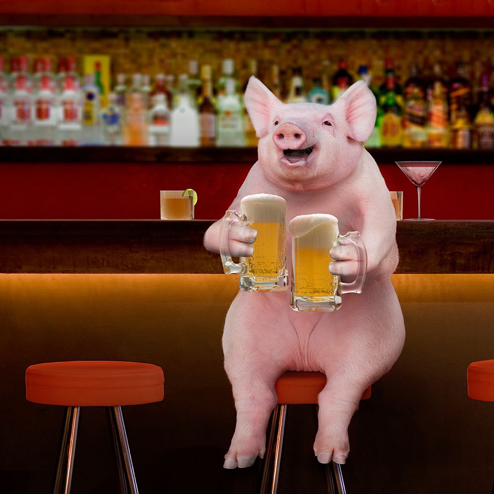 Beer Hog art print by Lund Roeser for $57.95 CAD