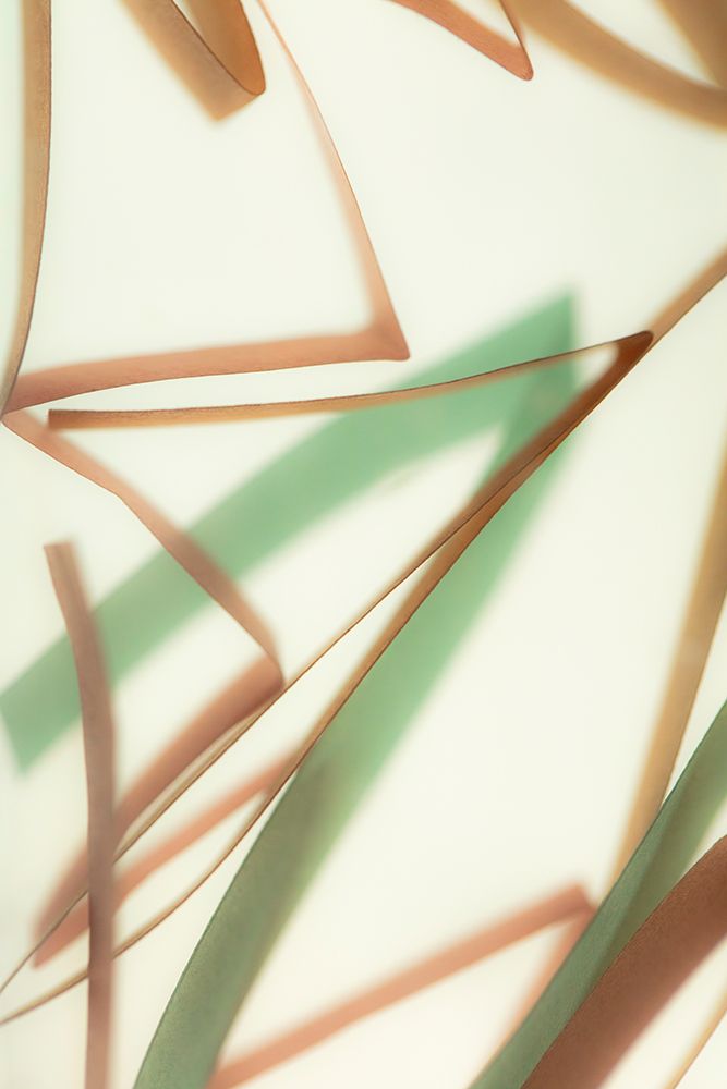 Trace Memory No. 1 art print by Caroyl La Barge for $57.95 CAD