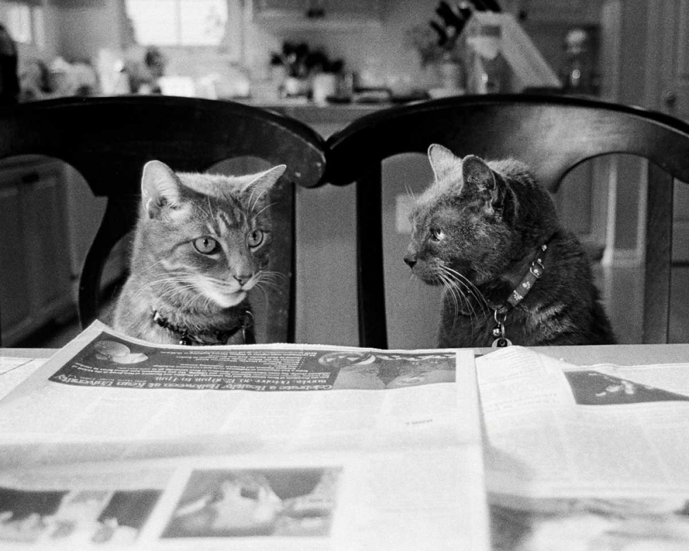 Not While Im Reading art print by Kim Levin for $57.95 CAD