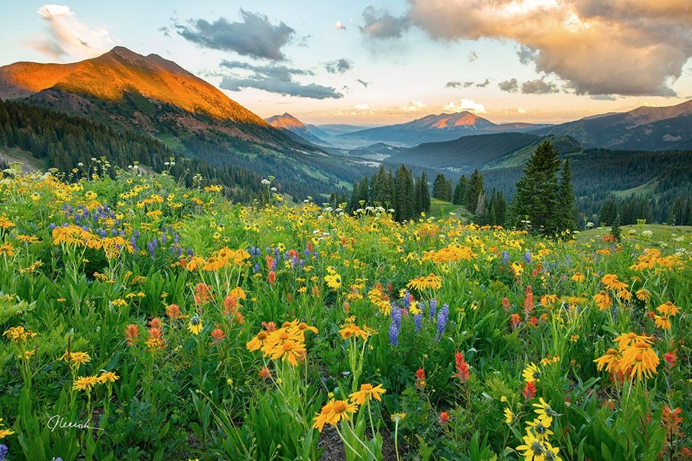 Wash Gulch Wild art print by J.C. Leacock for $57.95 CAD