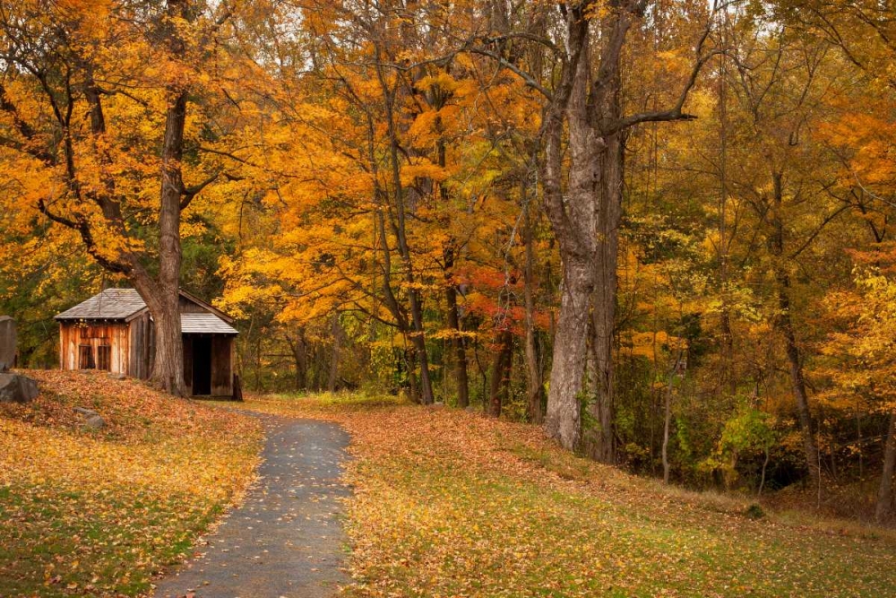 Autumn Home art print by Natalie Mikaels for $57.95 CAD