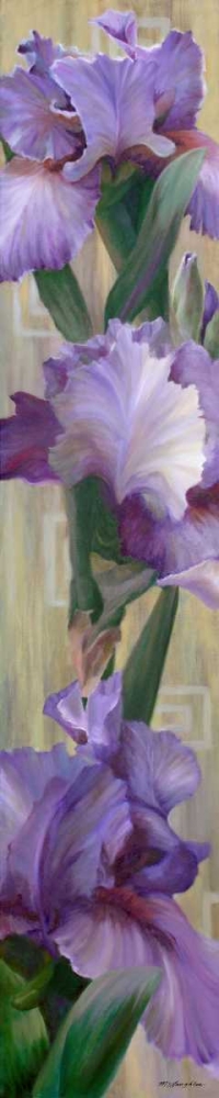 Iris II art print by Jan McLaughlin for $57.95 CAD