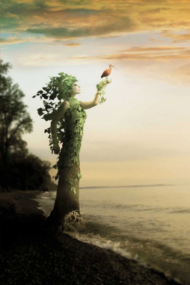 Where the Trees Stand art print by Jeff Madison for $57.95 CAD