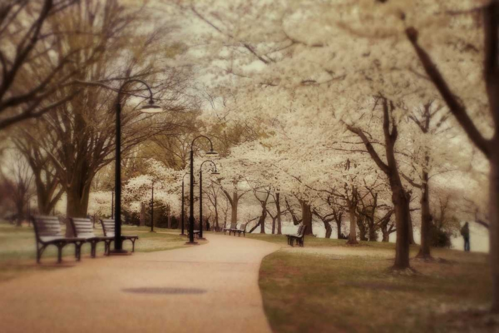Springtime Stroll art print by Natalie Mikaels for $57.95 CAD