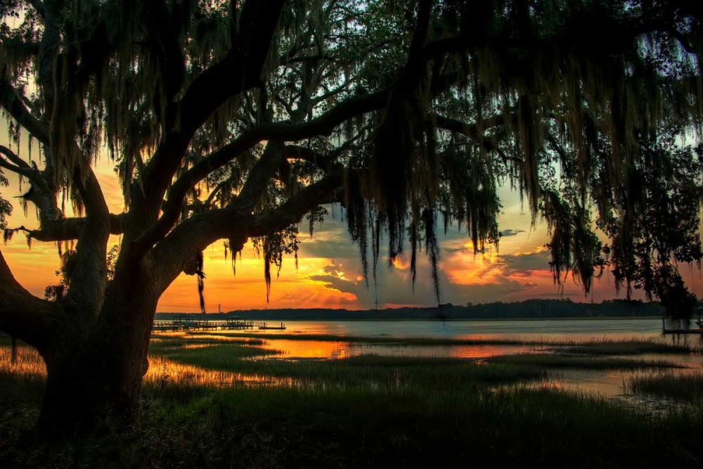 Savannah Evening art print by Natalie Mikaels for $57.95 CAD