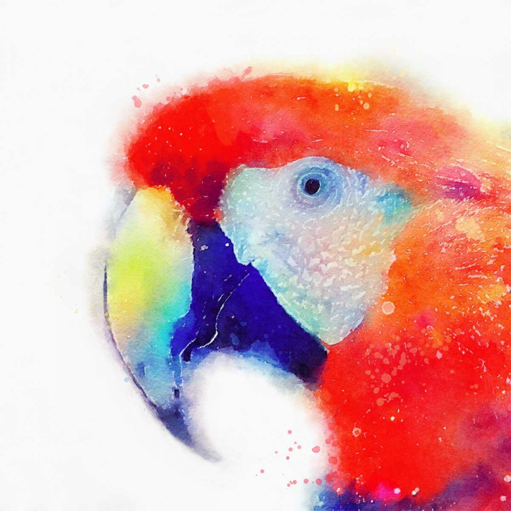 The Articulate II art print by Jacqueline Maldonado for $57.95 CAD