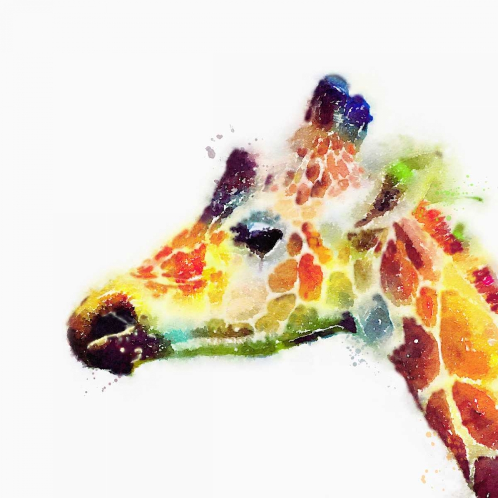 The Graceful II art print by Jacqueline Maldonado for $57.95 CAD