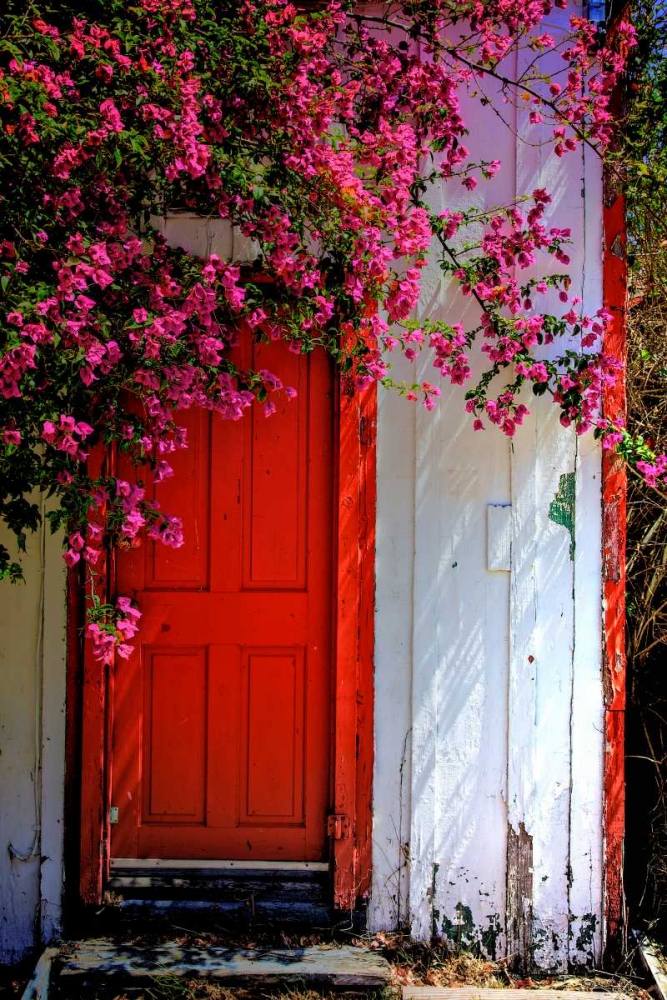 Red Door art print by Dean Mayo for $57.95 CAD