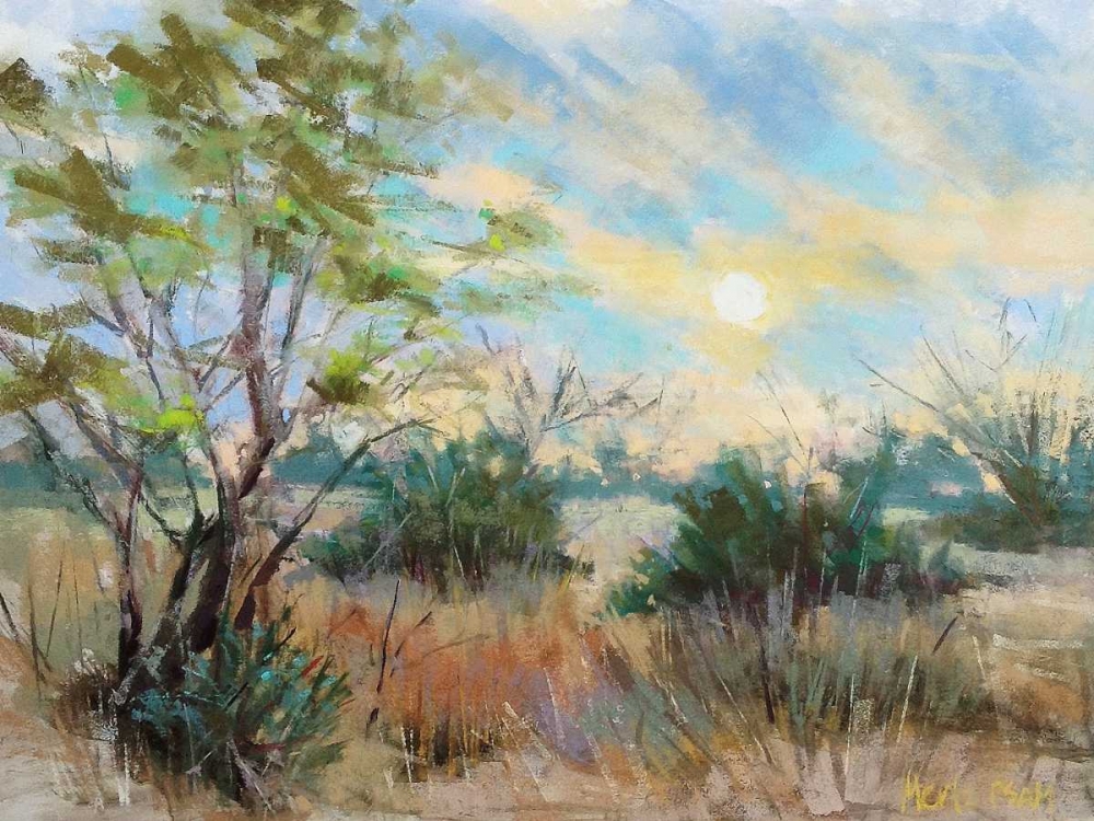 Texas Sunrise art print by Nancie King Mertz for $57.95 CAD