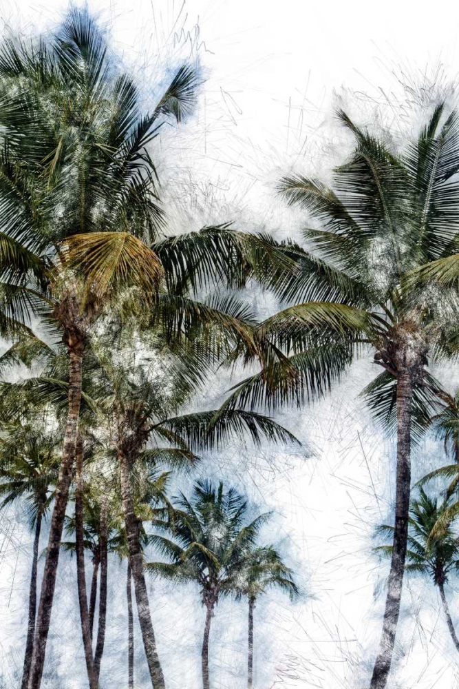 Dorado Palms 2 art print by Golie Miamee for $57.95 CAD