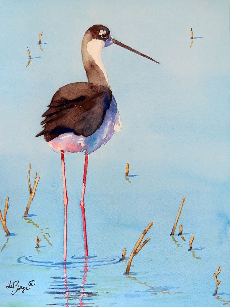Black Neck Stilt III art print by Nancy LaBerge Muren for $57.95 CAD