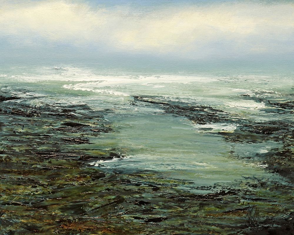 Shallow Reef art print by Michael Mote for $57.95 CAD