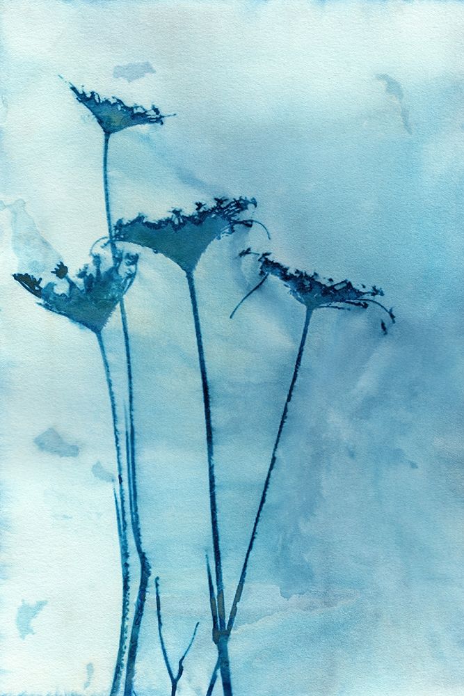Blue Anne art print by Krista McCurdy for $57.95 CAD