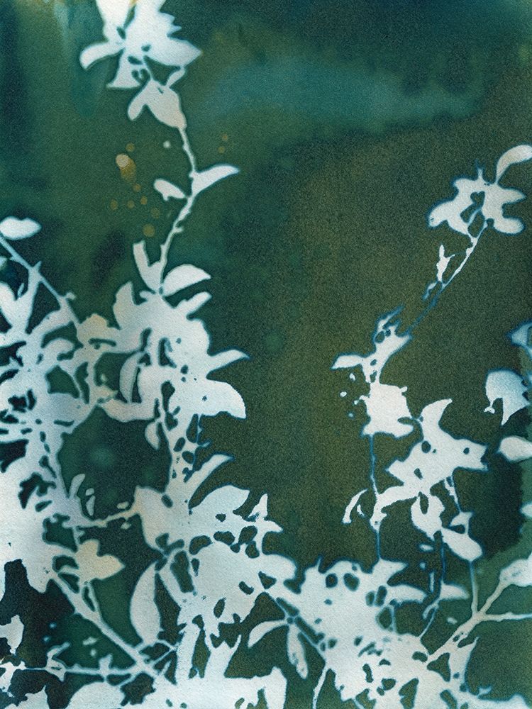 Dark Garden art print by Krista McCurdy for $57.95 CAD