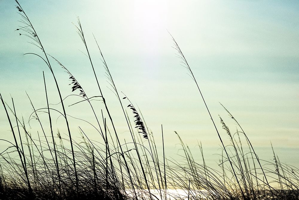 Coastal art print by Dina Marie for $57.95 CAD