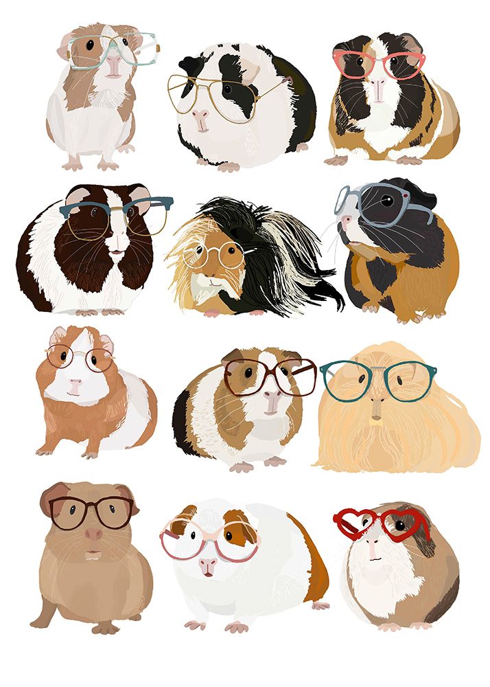 Guinea Pigs In Glasses art print by Hanna Melin for $57.95 CAD