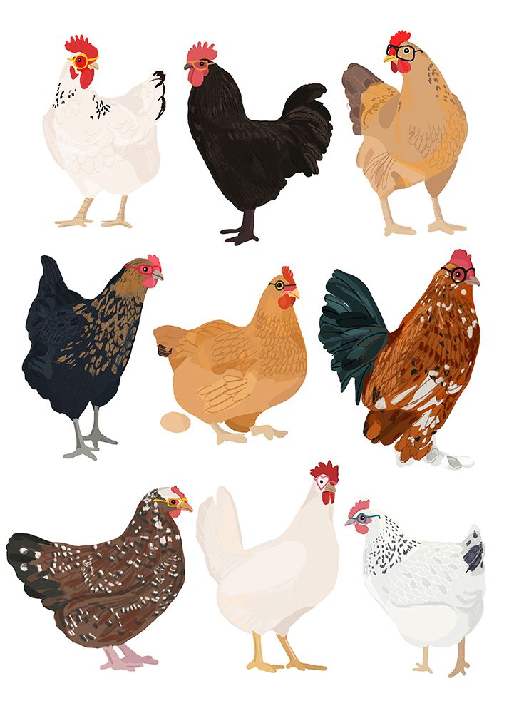 Hens In Glasses art print by Hanna Melin for $57.95 CAD