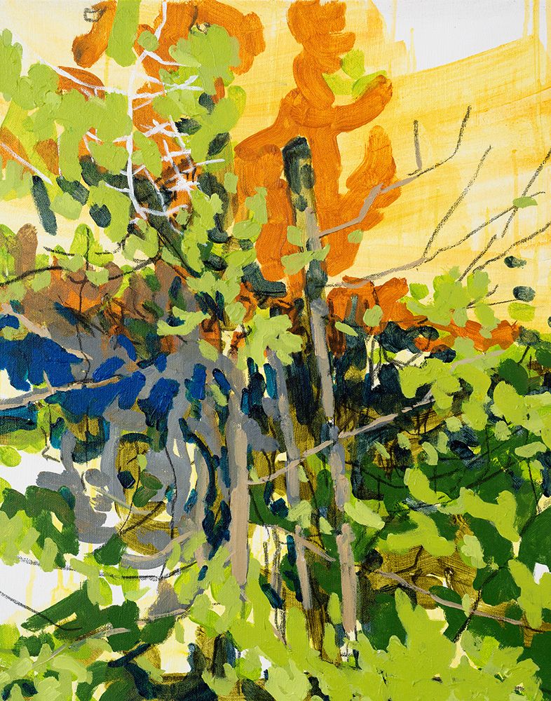 Buckhorn 1 art print by Randall Mattheis for $57.95 CAD