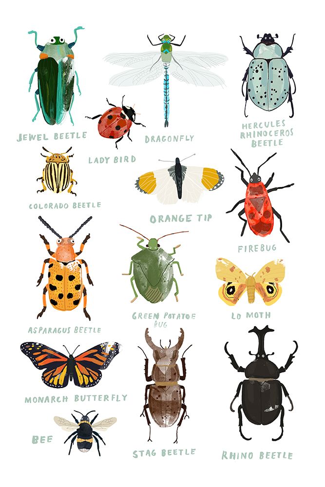 Bugs art print by Hanna Melin for $57.95 CAD