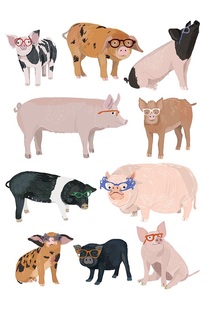 Pigs in Glasses art print by Hanna Melin for $57.95 CAD