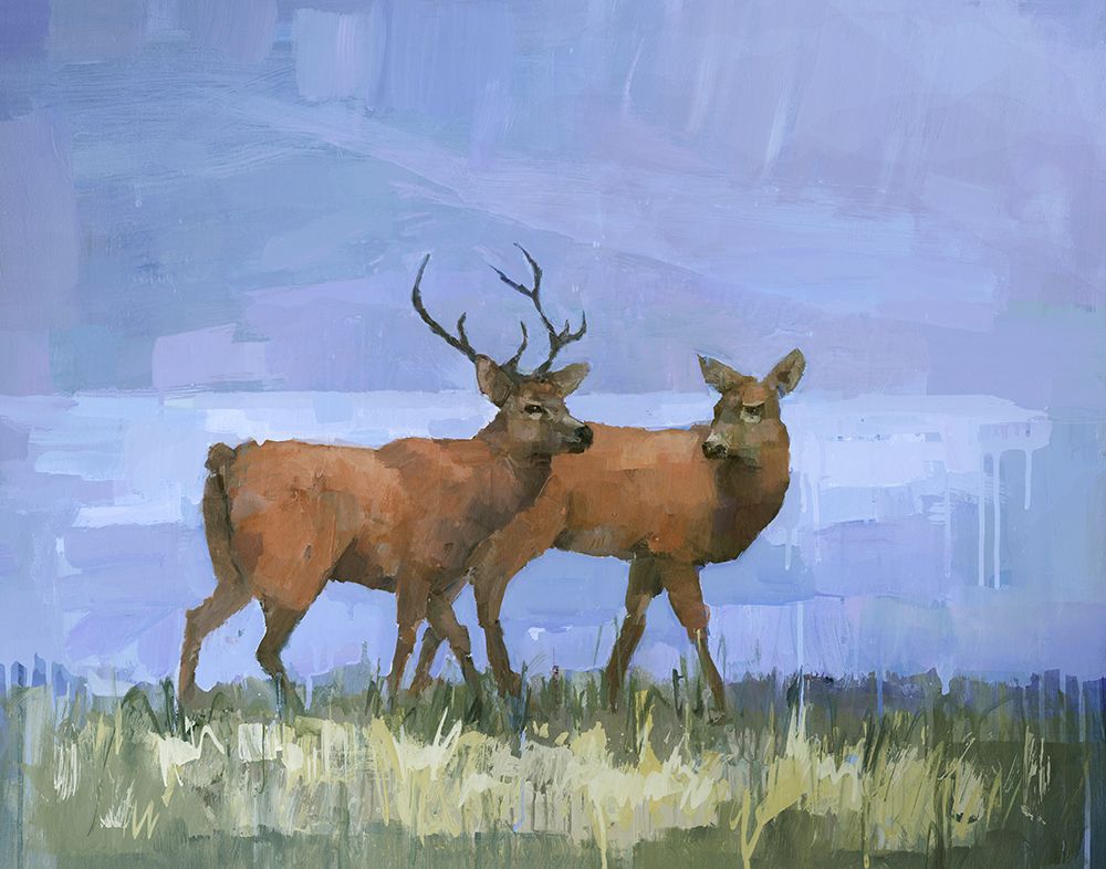 Two Red Deer art print by Stephen Mitchell for $57.95 CAD