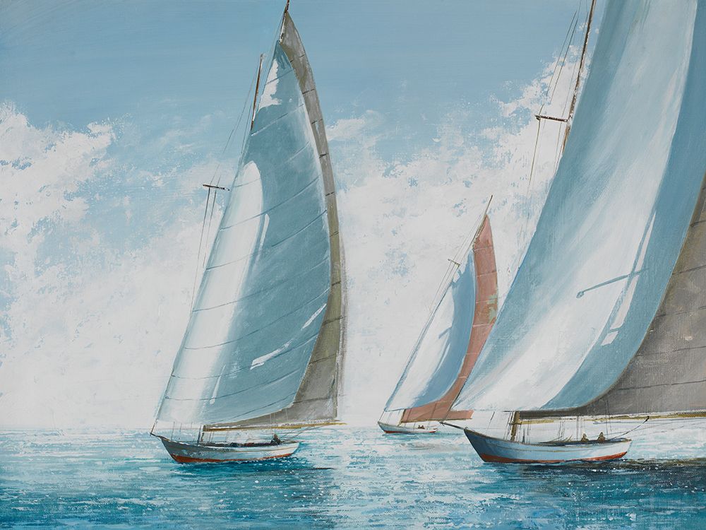 Regatta art print by Max Maxx for $57.95 CAD