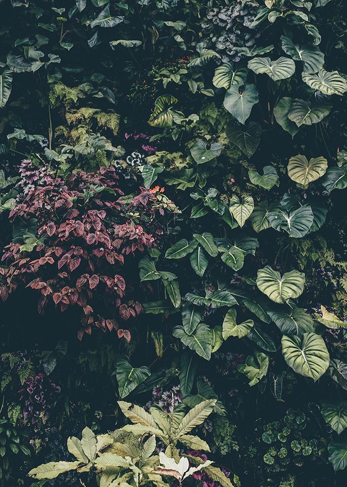 Plant Wall art print by Design Fabrikken for $57.95 CAD
