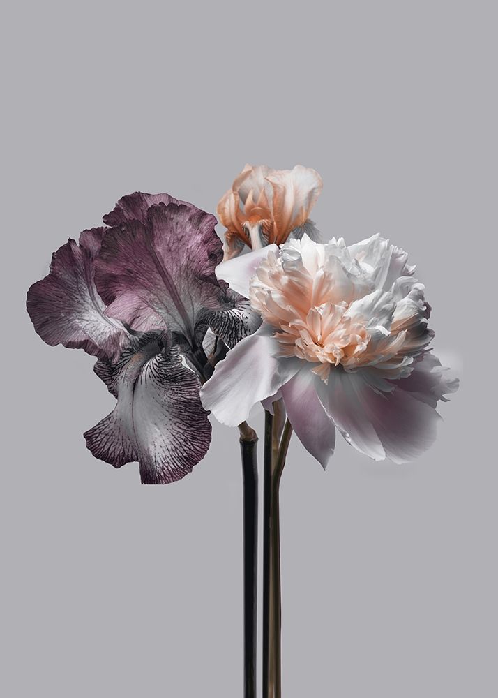 Virtue 1 art print by Design Fabrikken for $57.95 CAD