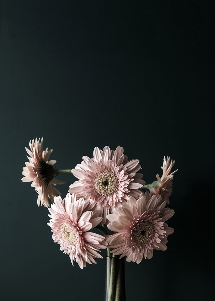 Pink Black art print by Design Fabrikken for $57.95 CAD