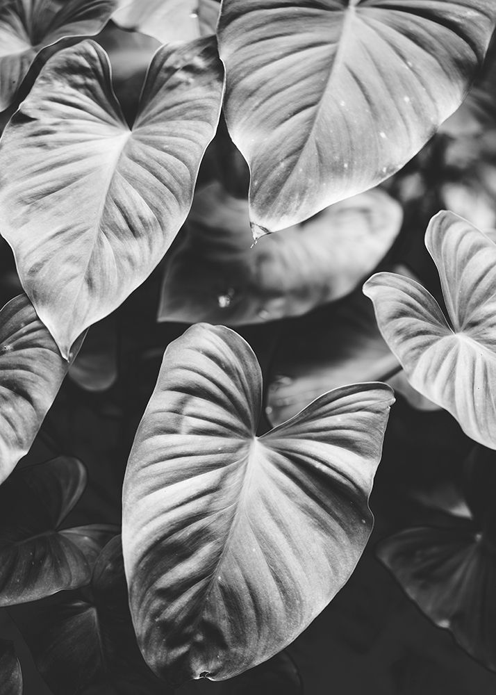 Leaves of Grey art print by Design Fabrikken for $57.95 CAD