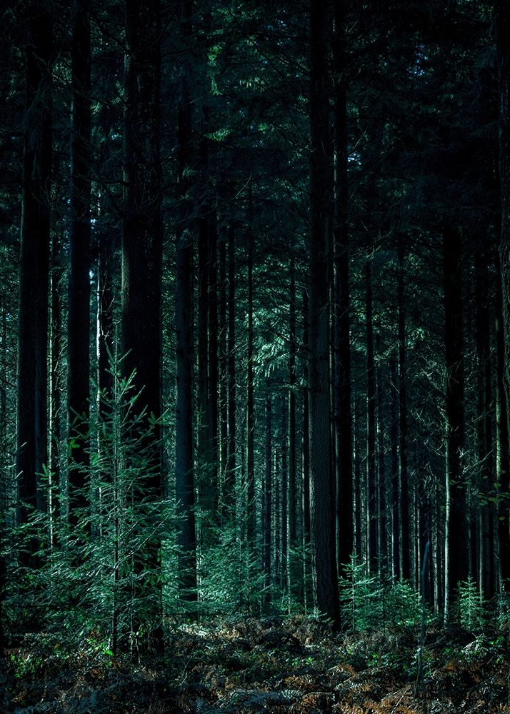 Deep Green art print by Design Fabrikken for $57.95 CAD