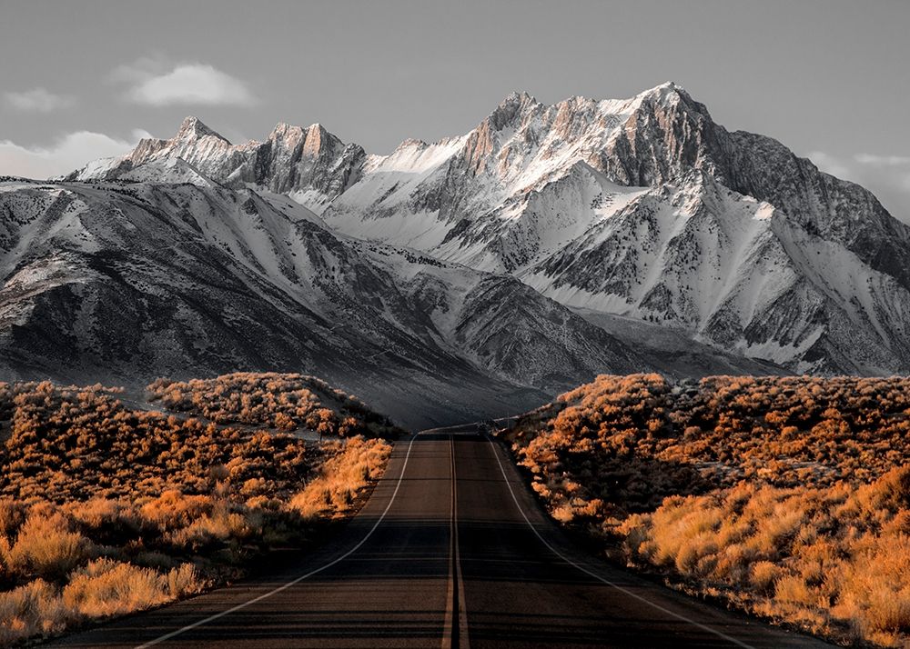 The Road 1 art print by Design Fabrikken for $57.95 CAD