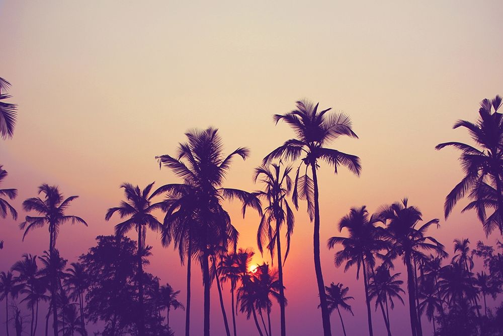 Palm Sky 1 art print by Design Fabrikken for $57.95 CAD