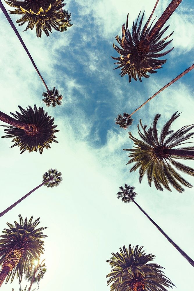 Palm Sky 2 art print by Design Fabrikken for $57.95 CAD