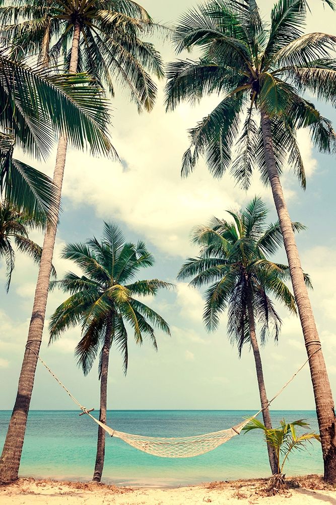 Palm Sky 3 art print by Design Fabrikken for $57.95 CAD