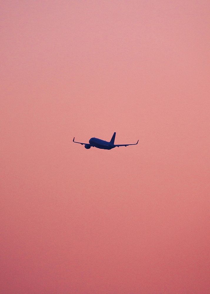 Pink Flight art print by Design Fabrikken for $57.95 CAD