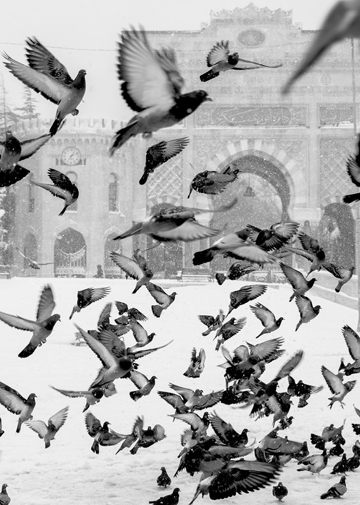 Moscow art print by Design Fabrikken for $57.95 CAD